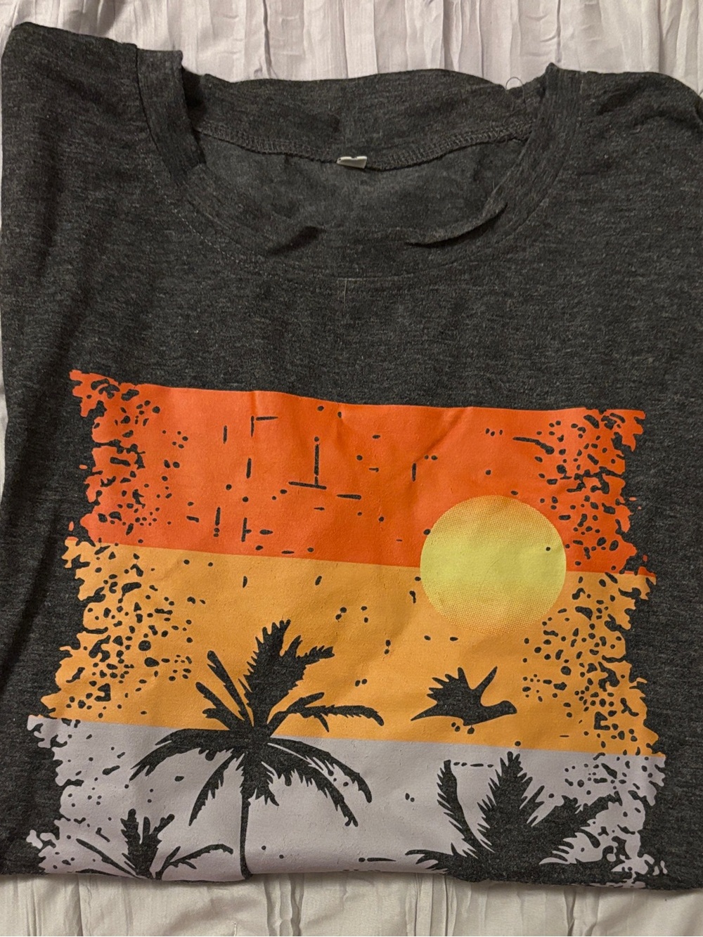 Sunset and Palm Trees Setting.